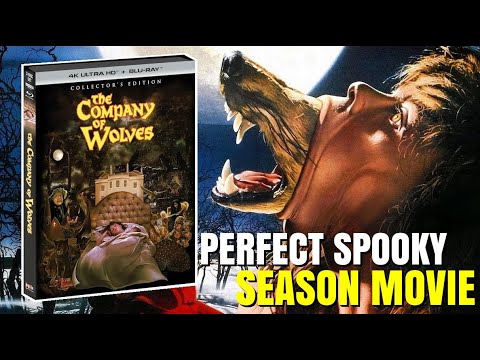 Welcoming the Spooky Season with THE COMPANY OF WOLVES | Scream Factory 4K UHD Review
