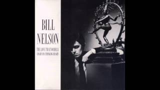 Bill Nelson - When Your Dream of Perfect Beauty Comes True
