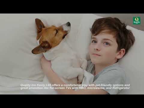 Experience Comfort At Quality Inn