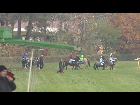 Dostihy Lysá nad Labem 11. 11. 2023 - Pony liga Akraz bezpečnostní agentura - 1. oddělení