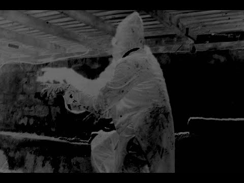 Portal -  Writhen (Swarth 2009)