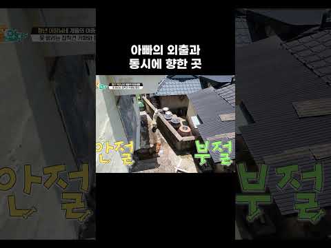 아빠의 외출과 동시에 향한 곳 #왜그러냥귀엽개 #shorts
