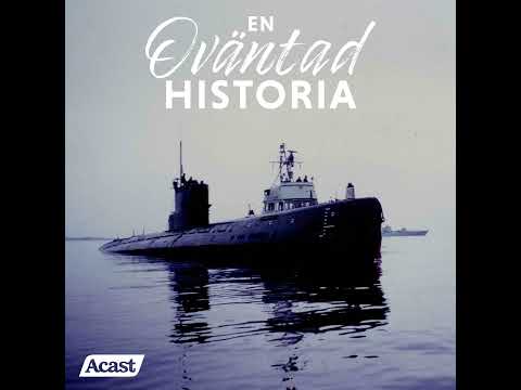 U 137 – När gränsen skulle skyddas med våld