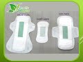 Shuya Pads
