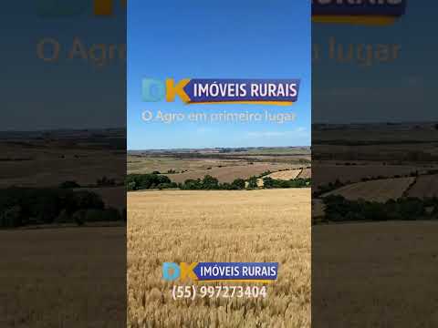 Arrendamento Rural | Oportunidades em Santana do Livramento, Santo Antônio das Missões e São Gabriel