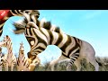 A Zebra Baby Is Born With Half The Stripes That S Why Everyone Bullies It Explained In Hindi