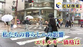 動画のサムネイル