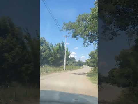 Interior- Santa Tereza/Monte Belo do Sul-RS