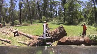 preview picture of video 'Dead Tree Removal Newcastle'