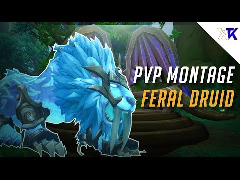 Feral Druid-  Montage PvP -  Pre Patch 8.0.1