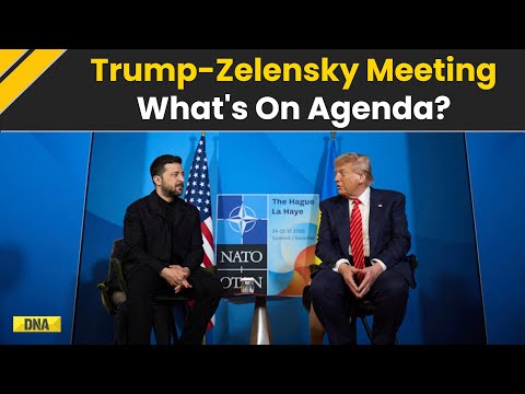 Trump Zelensky Meeting: Ukraine's Zelensky To Meet Donald Trump In Florida, Here's What's On Agenda