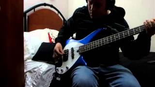 Rufio  Save The World - Bass Cover VitokoBass87