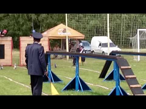 Okrsková soutěž 28.5.2016 v Radošovicích - SDH Vracovice muži 100 m překážek