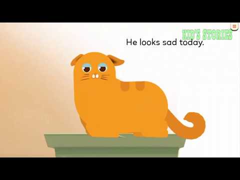 Wild Animals Story | Bedtime Stories | Best Story For Kid's