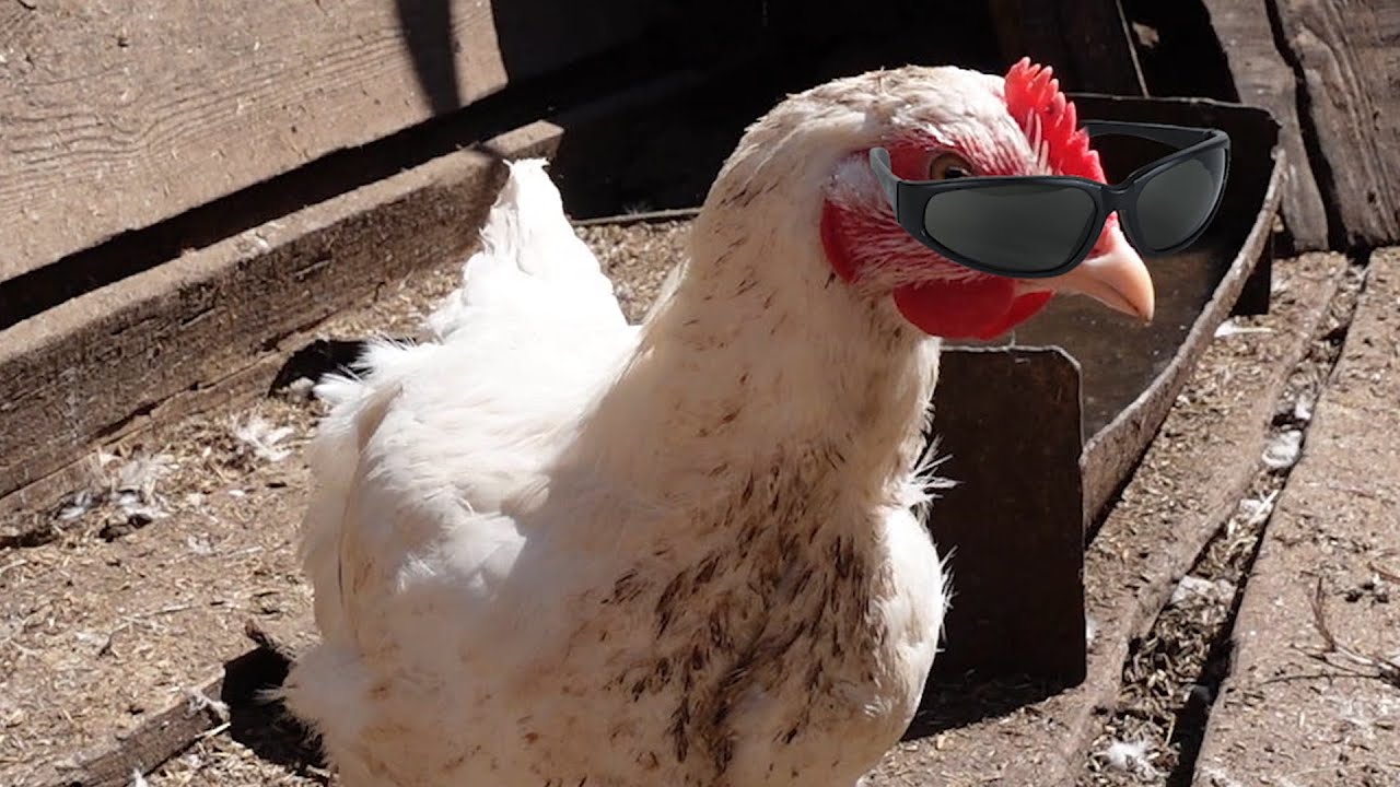 Ильич да Софья ft. Slava Marlow — Ой да на рейве