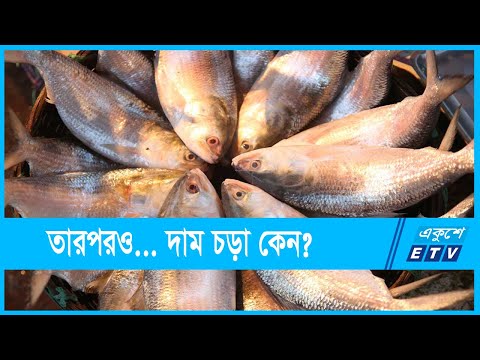 বাজারে প্রচুর ইলিশ কিন্ত দাম আকাশ ছোঁয়া | ETV News