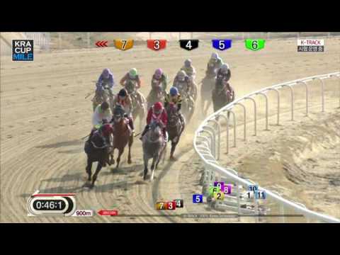 KRA Cup Mile 2017 - Indian King