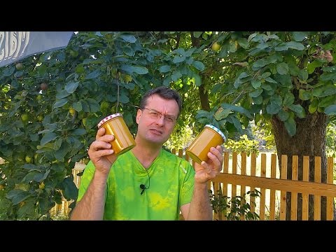 Omas Rezept Senf selber herstellen Senf mit Whisky ....selber machen ...so gehts Tutorial Vol.12