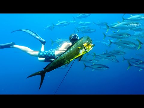 What Is This Place? TROPHY Spearfishing EVERYWHERE!