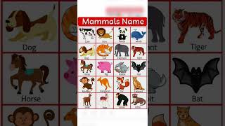 Download lagu Mammals Name In english || 20 Animal name #mammals #name mp3