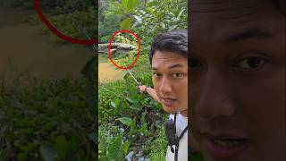 Download lagu CASTING GABUS DI EMPANG TERBENGKALAI mp3