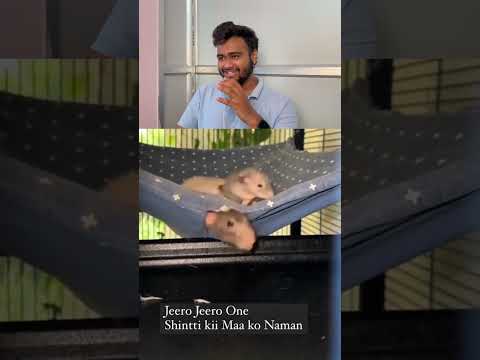 Shinti please follow mummy 😂🤣#funnyvids #funnybaby #funnyfail #dogvideo #animalovers #catslife