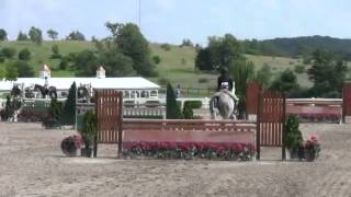 Video of CALVI ridden by TAYLOR SCHMIDT from ShowNet!
