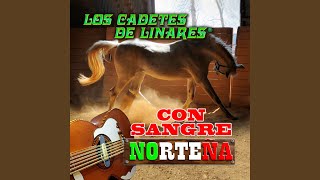 No Seas Ingrata