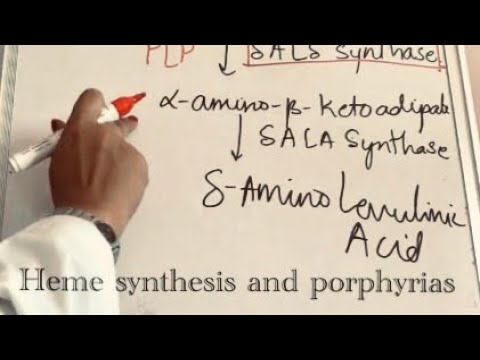 Biochemistry Heme synthesis with porphyrias/biochemistry cycles/metabolism of hemoglobin