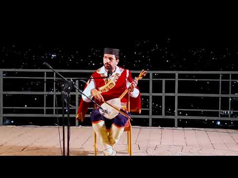 Гуслар Владан Перовић - Гусле моје, најдража музико (Уживо 2020)