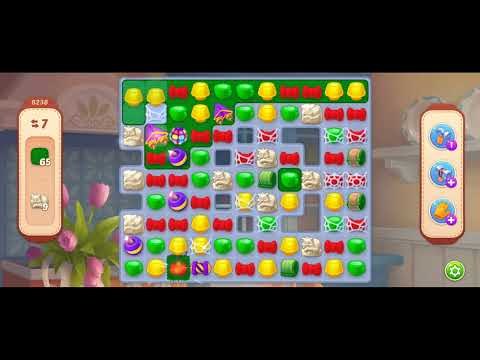 homescapes level 8238