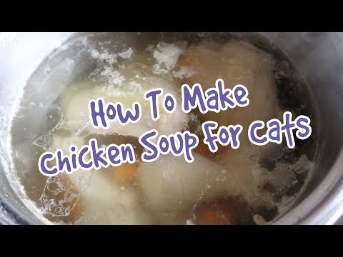 How To Make Homemade Chicken Soup For Cats - Chicken Broth For Cats Recipe