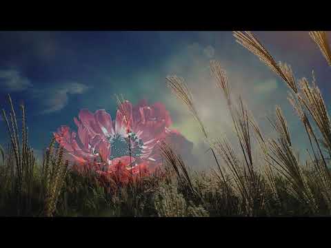 OSTASII LUI HRISTOS  - Corul barbatesc Betleem  - Londra  - Ce frumoase vorbe aud eu!