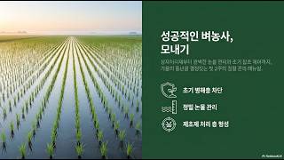 [농사정보] 벼_모내기, 초기제초제, 물관리