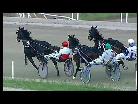 Napoli Trotto 12/12/2021 - 2ª corsa