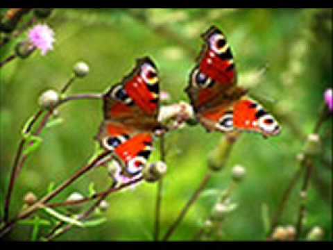 Adrian Shaposhnikov Sonata for harp and flute part I