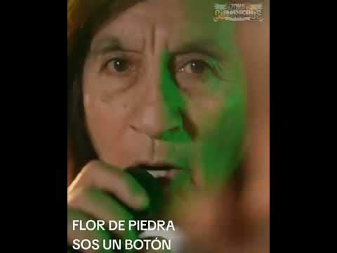 Flor de Piedra - Sos Un Botón (Sin Miedo: Lado "S")