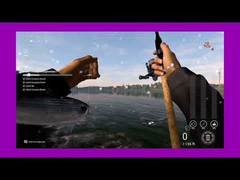 @trippytiffyfishes Ghent-Terneuzen Exploration II COMPLETE