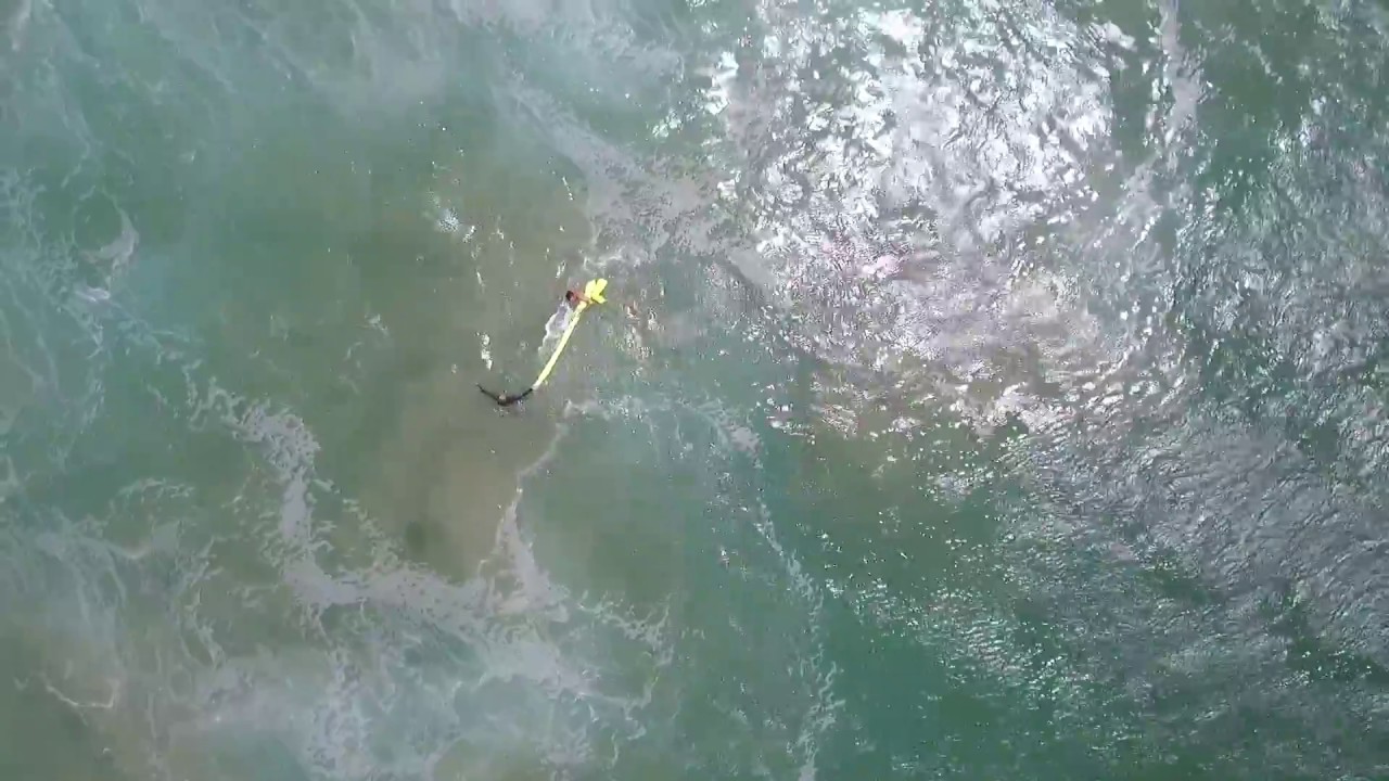 The world's first surf rescue by drone thumnail