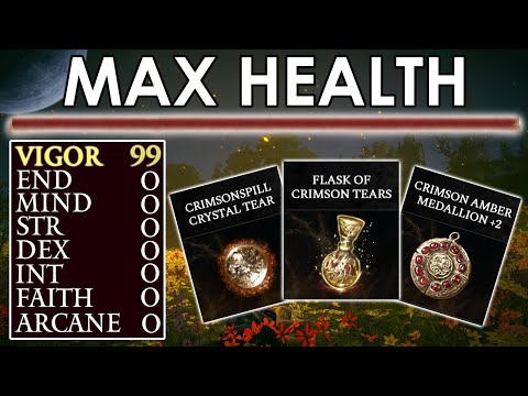 Elden Ring but I Can Only Level VIGOR