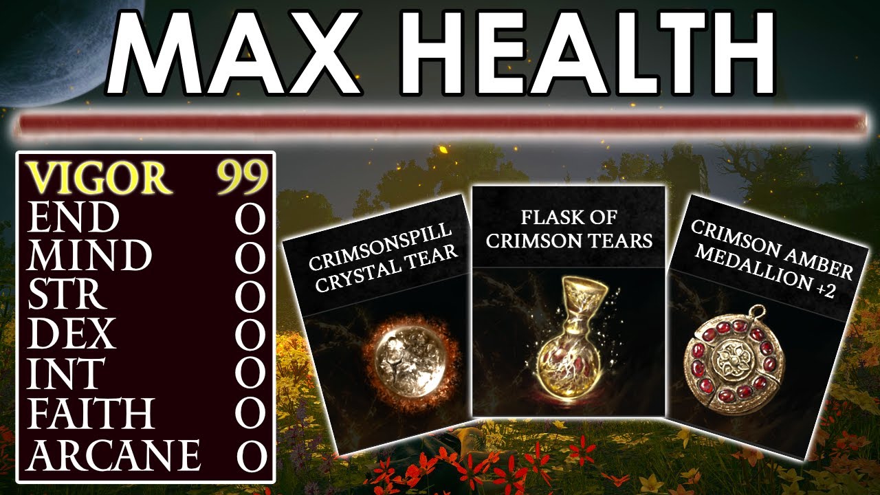 Elden Ring but I Can Only Level VIGOR