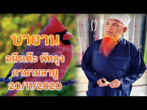 Bayan bahasa Melayu oleh Abdul Rahman pattalong 20/11/2020