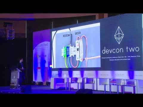 The Raiden Network (RDN) Explained: Everything You Need To Know Before Investing by Founder