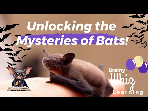 Unlocking the Mysteries of Bats | Bat Week Special | Brainy Whiz Learning #bats