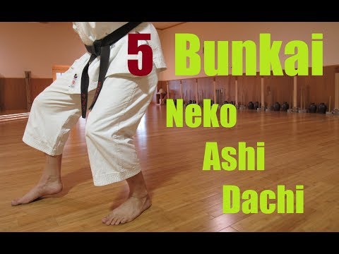 5 Neko Ashi Dachi Oyo Bunkai