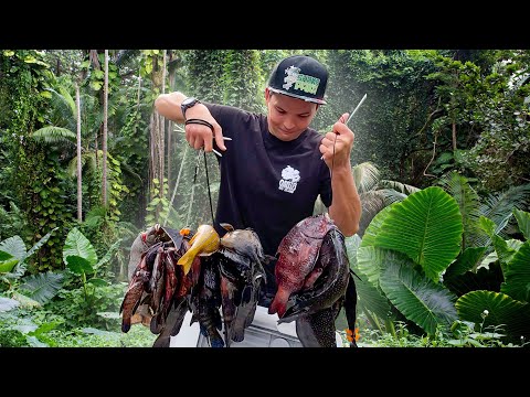 Harvesting Reef Fish For Hawaiian Funeral