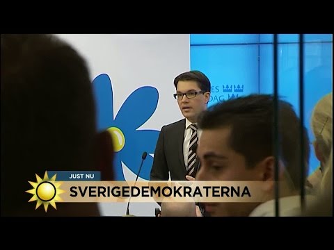 Ann Tiberg om SD: "När det krisar ligger de kvar" - Nyhetsmorgon (TV4)