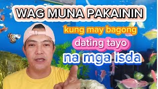 PART 8...HINDI DAPAT PAKAININ ANG BAGONG DATING NA ISDA