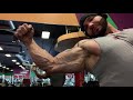 Massive 23 Inch Bicep