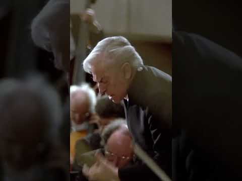 ta ta ta taaaaaaa 💥 #beethoven #orchestra #concert #shorts